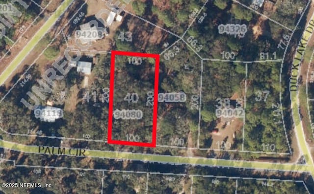 94080 Palm Cir W, Fernandina Beach, FL 32034 - photo 5