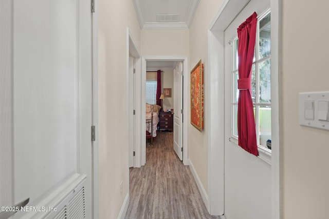4575 Wolfe Rd, Saint Augustine, FL 32092 - photo 52