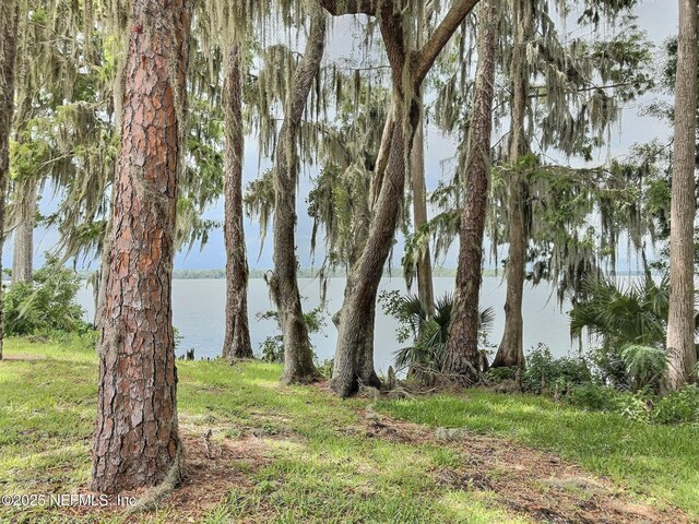 1074 Front St, Welaka, FL 32193 - photo 3