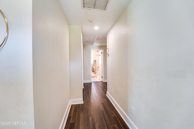 5012 Ortega Blvd, Jacksonville, FL 32210 - photo 23