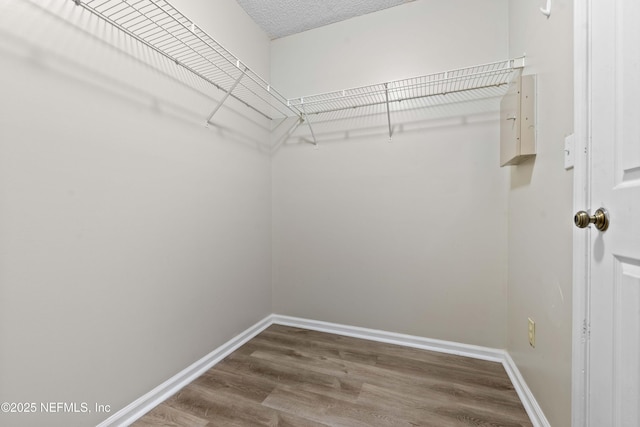 7685 Arancio Dr, Jacksonville, FL 32244 - photo 23