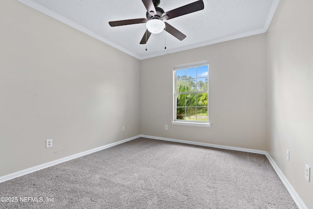 7685 Arancio Dr, Jacksonville, FL 32244 - photo 24