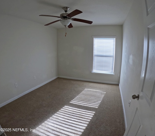 6915 Ortega Woods Dr Unit 3-12, Jacksonville, FL 32244 - photo 8