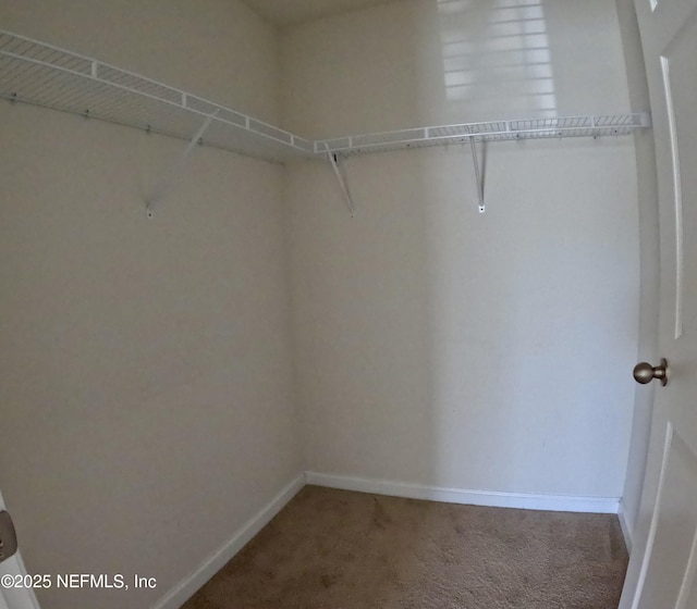 6915 Ortega Woods Dr Unit 3-12, Jacksonville, FL 32244 - photo 10