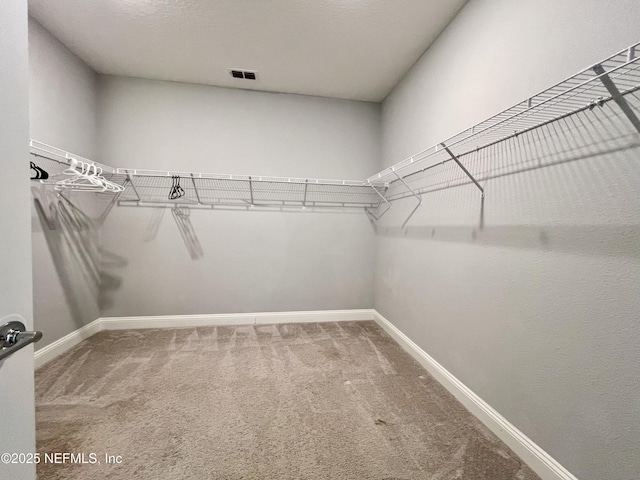 234 Killarney Ave, Saint Johns, FL 32259 - photo 39