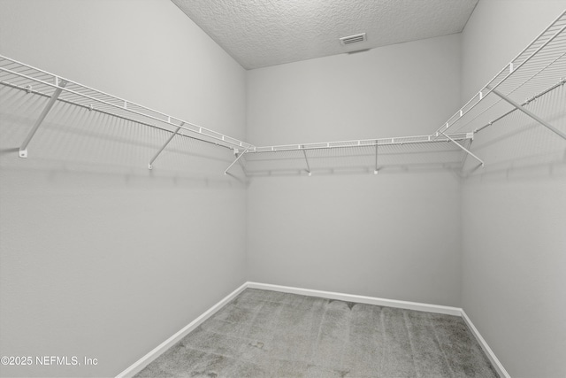 12445 Acosta Oaks Dr, Jacksonville, FL 32258 - photo 25