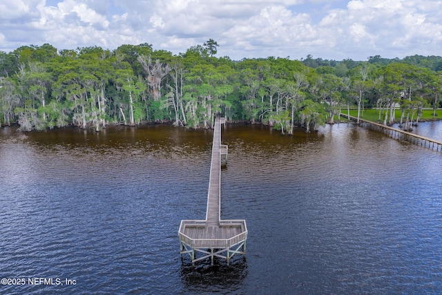 1678 Margarets Walk Rd, Fleming Island, FL 32003 - photo 41