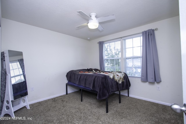 15679 Saddled Charger Dr, Jacksonville, FL 32234 - photo 4