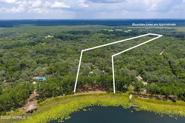 1540 Baden Powell Rd, Hawthorne, FL 32640 - photo 3