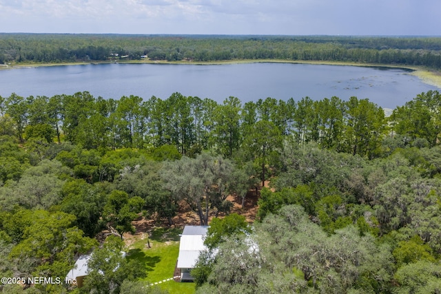1540 Baden Powell Rd, Hawthorne, FL 32640 - photo 5
