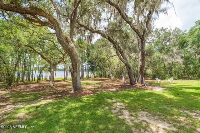 1540 Baden Powell Rd, Hawthorne, FL 32640 - photo 35
