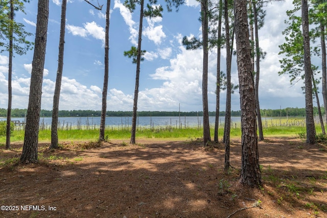 1540 Baden Powell Rd, Hawthorne, FL 32640 - photo 37