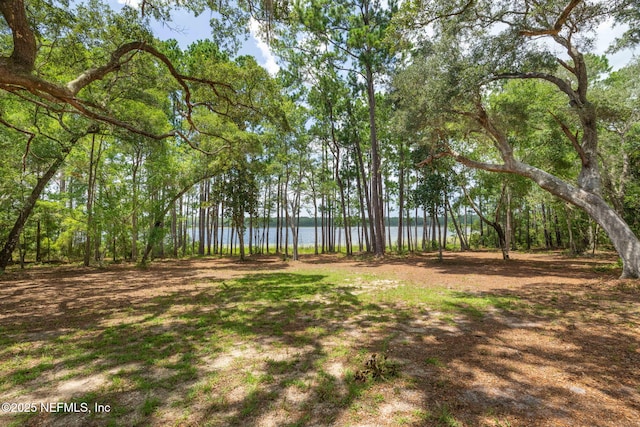 1540 Baden Powell Rd, Hawthorne, FL 32640 - photo 36