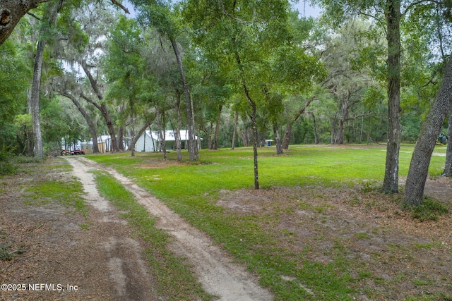 1540 Baden Powell Rd, Hawthorne, FL 32640 - photo 38
