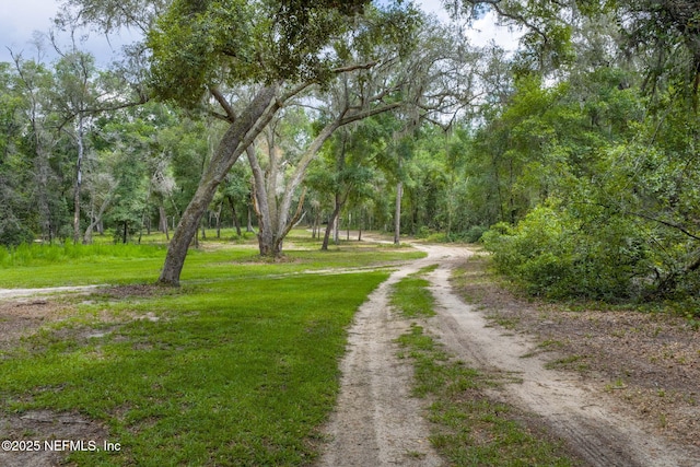 1540 Baden Powell Rd, Hawthorne, FL 32640 - photo 41