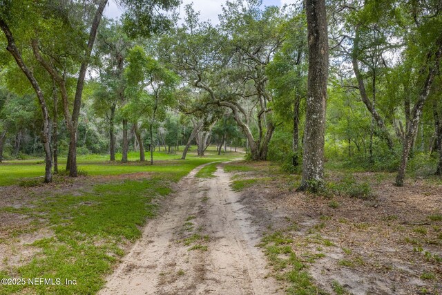 1540 Baden Powell Rd, Hawthorne, FL 32640 - photo 42
