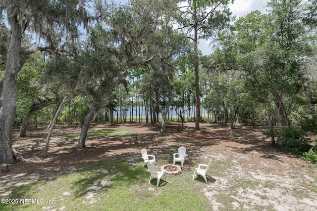 1540 Baden Powell Rd, Hawthorne, FL 32640 - photo 33
