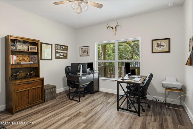 1540 Baden Powell Rd, Hawthorne, FL 32640 - photo 26