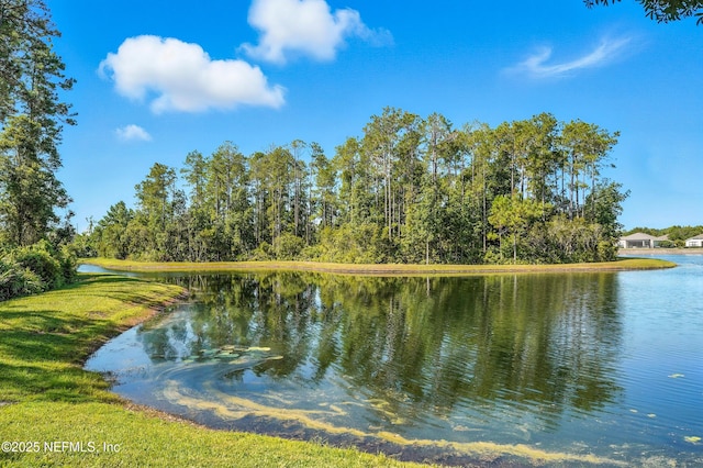285 River Run Blvd, Ponte Vedra, FL 32081 - photo 4