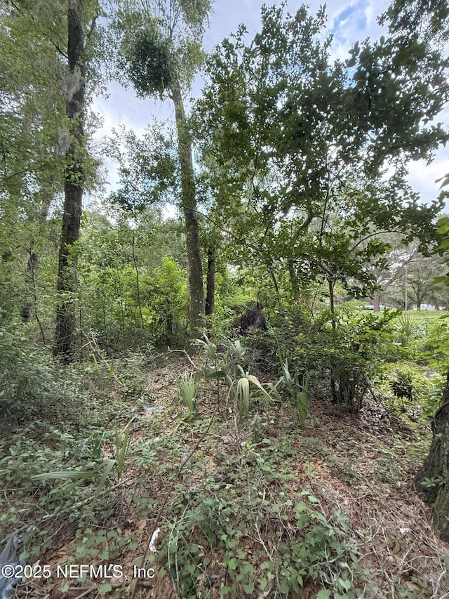 4117 Silver Lake Dr, Palatka, FL 32177 - photo 4