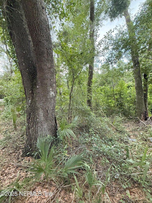 4117 Silver Lake Dr, Palatka, FL 32177 - photo 1