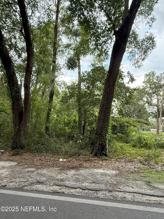 4117 Silver Lake Dr, Palatka, FL 32177 - photo 2