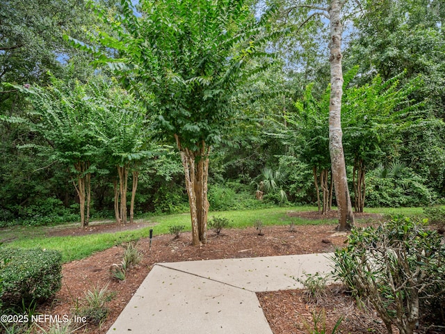 13715 Richmond Park Dr N Unit 1101, Jacksonville, FL 32224 - photo 22