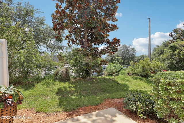 1500 Calming Water Dr Unit 4706, Fleming Island, FL 32003 - photo 35