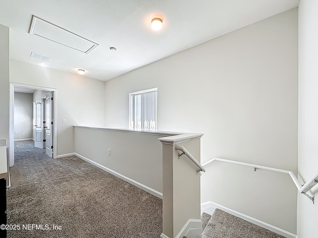 3750 Silver Bluff Blvd Unit 1301, Orange Park, FL 32065 - photo 14