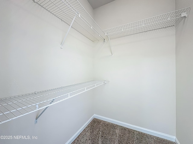 3750 Silver Bluff Blvd Unit 1301, Orange Park, FL 32065 - photo 20