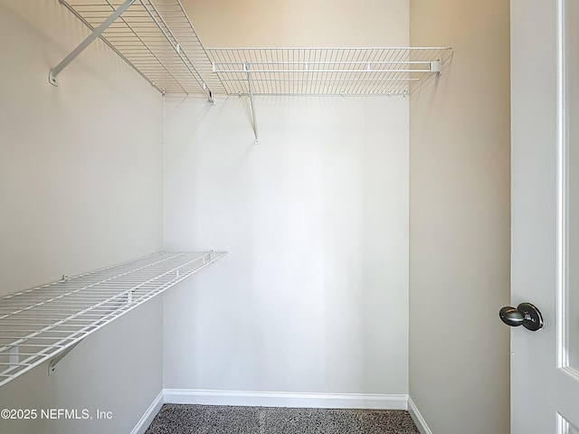 3750 Silver Bluff Blvd Unit 1301, Orange Park, FL 32065 - photo 26
