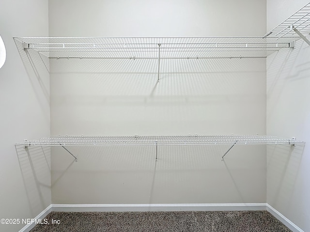 3750 Silver Bluff Blvd Unit 1301, Orange Park, FL 32065 - photo 34