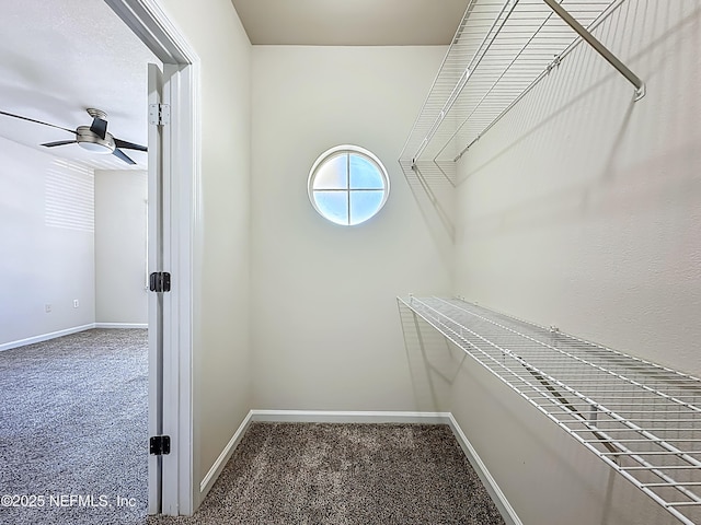 3750 Silver Bluff Blvd Unit 1301, Orange Park, FL 32065 - photo 35