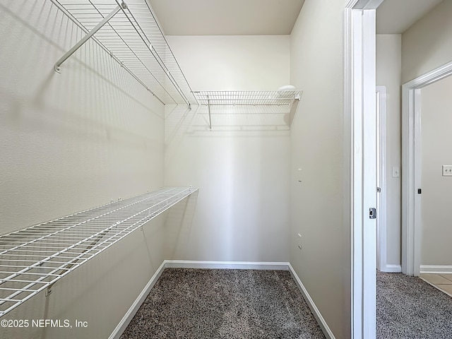 3750 Silver Bluff Blvd Unit 1301, Orange Park, FL 32065 - photo 36