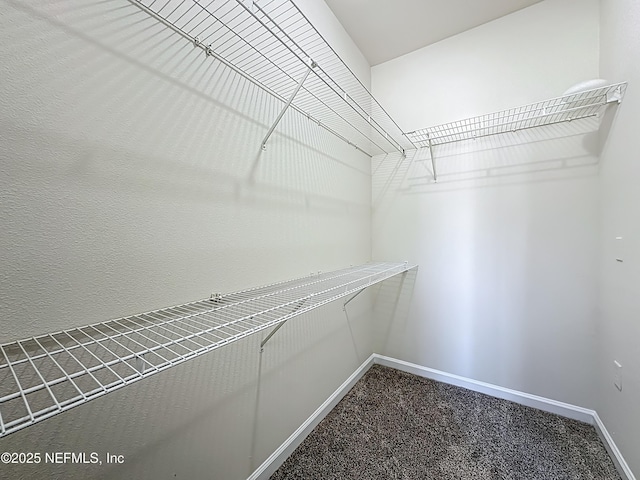 3750 Silver Bluff Blvd Unit 1301, Orange Park, FL 32065 - photo 37