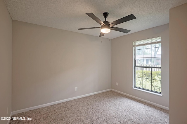 226 Quince Ct, Orange Park, FL 32073 - photo 23