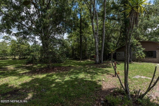 5209 Justill Ln, Jacksonville, FL 32218 - photo 25