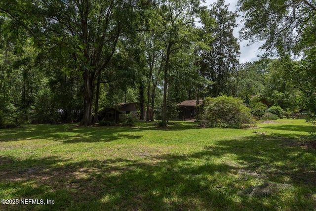 5209 Justill Ln, Jacksonville, FL 32218 - photo 29