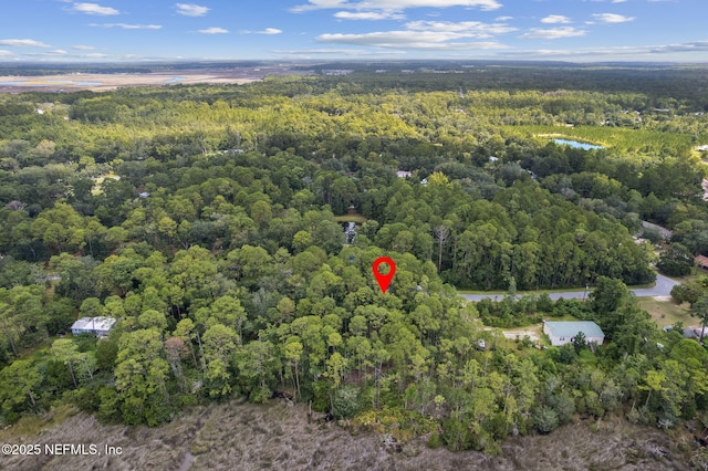 85378 Schubert Rd, Fernandina Beach, FL 32034 - photo 10