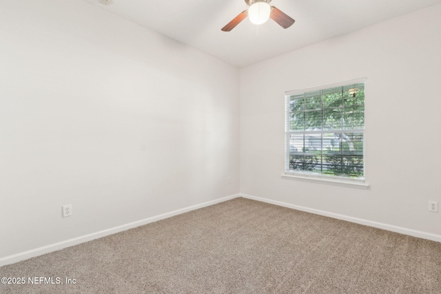 1707 Hollow Glen Dr, Middleburg, FL 32068 - photo 33