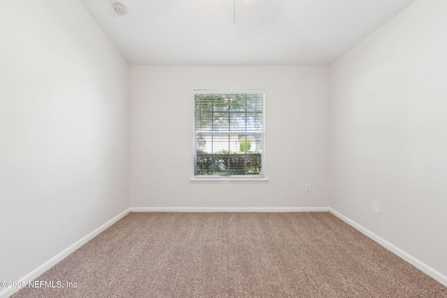 1707 Hollow Glen Dr, Middleburg, FL 32068 - photo 36
