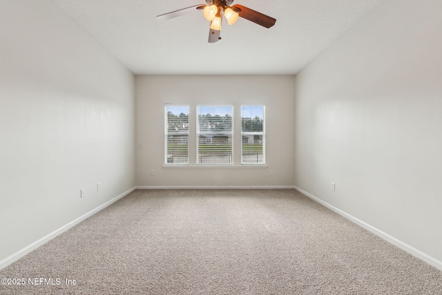 1707 Hollow Glen Dr, Middleburg, FL 32068 - photo 42