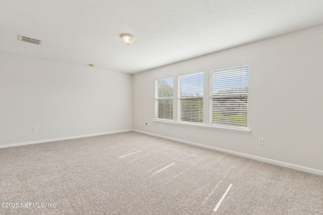 1707 Hollow Glen Dr, Middleburg, FL 32068 - photo 54