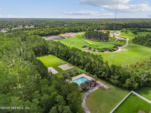 1707 Hollow Glen Dr, Middleburg, FL 32068 - photo 87