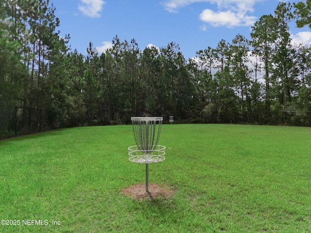 1707 Hollow Glen Dr, Middleburg, FL 32068 - photo 91