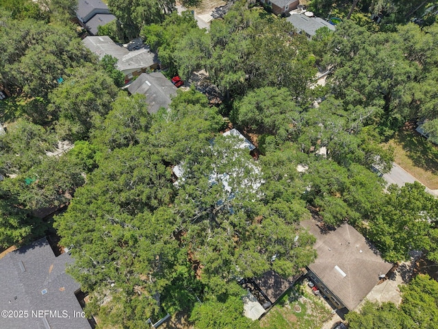 4619 Morris Rd, Jacksonville, FL 32225 - photo 39
