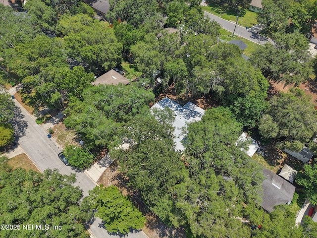4619 Morris Rd, Jacksonville, FL 32225 - photo 40