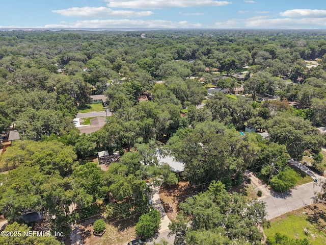 4619 Morris Rd, Jacksonville, FL 32225 - photo 43
