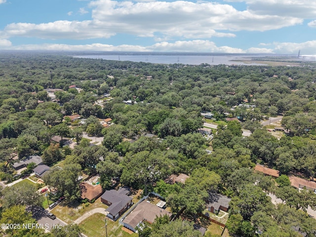 4619 Morris Rd, Jacksonville, FL 32225 - photo 45