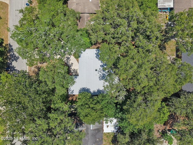 4619 Morris Rd, Jacksonville, FL 32225 - photo 49